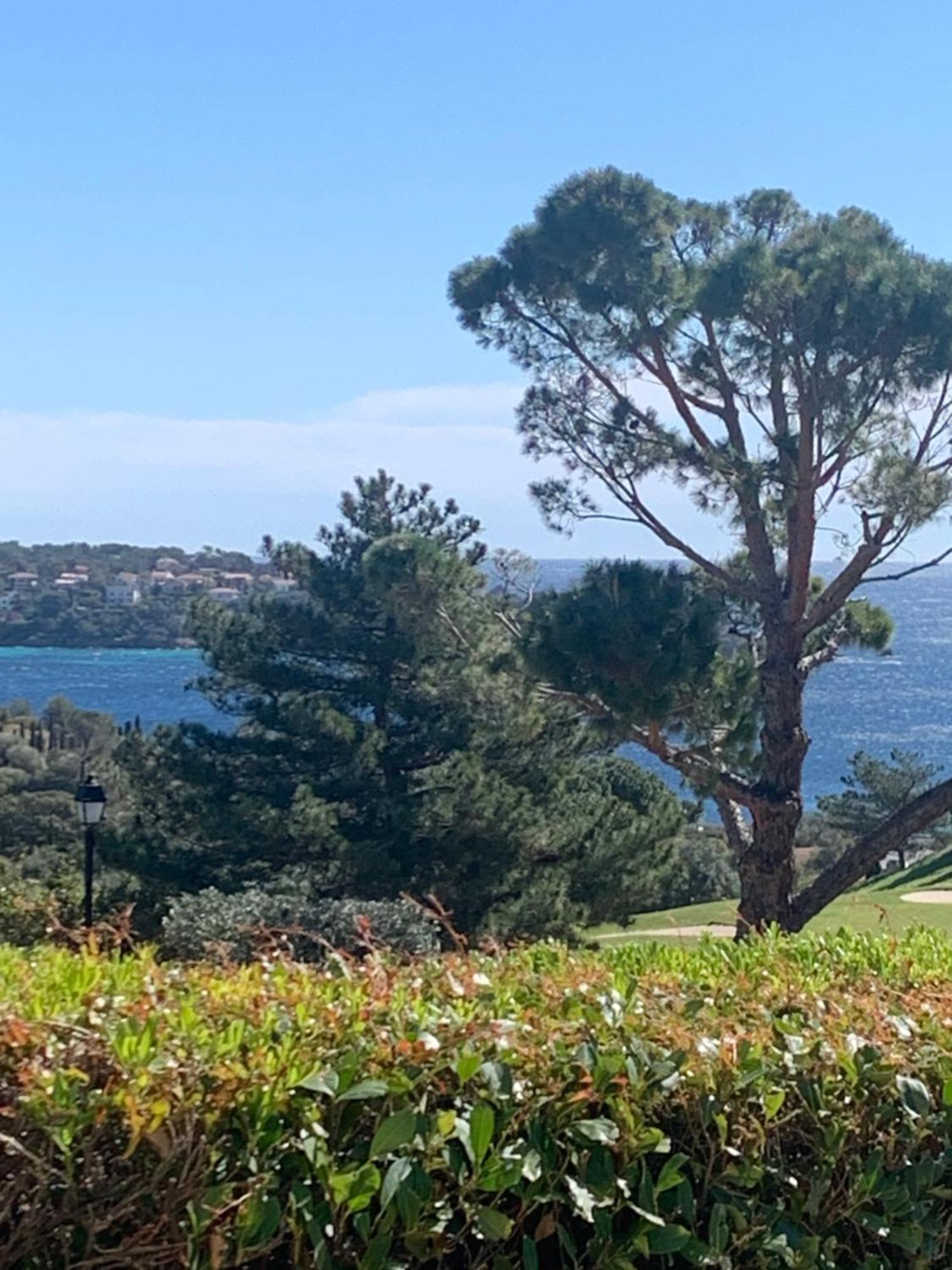 T2 En Rez De Jardin Privatif Cloture , Cap Esterel Pierre Et Vacances ,Piscine Chauffee Des Le 05 Avril Au 02 Novembre Saint-Raphael (Var) Exterior foto