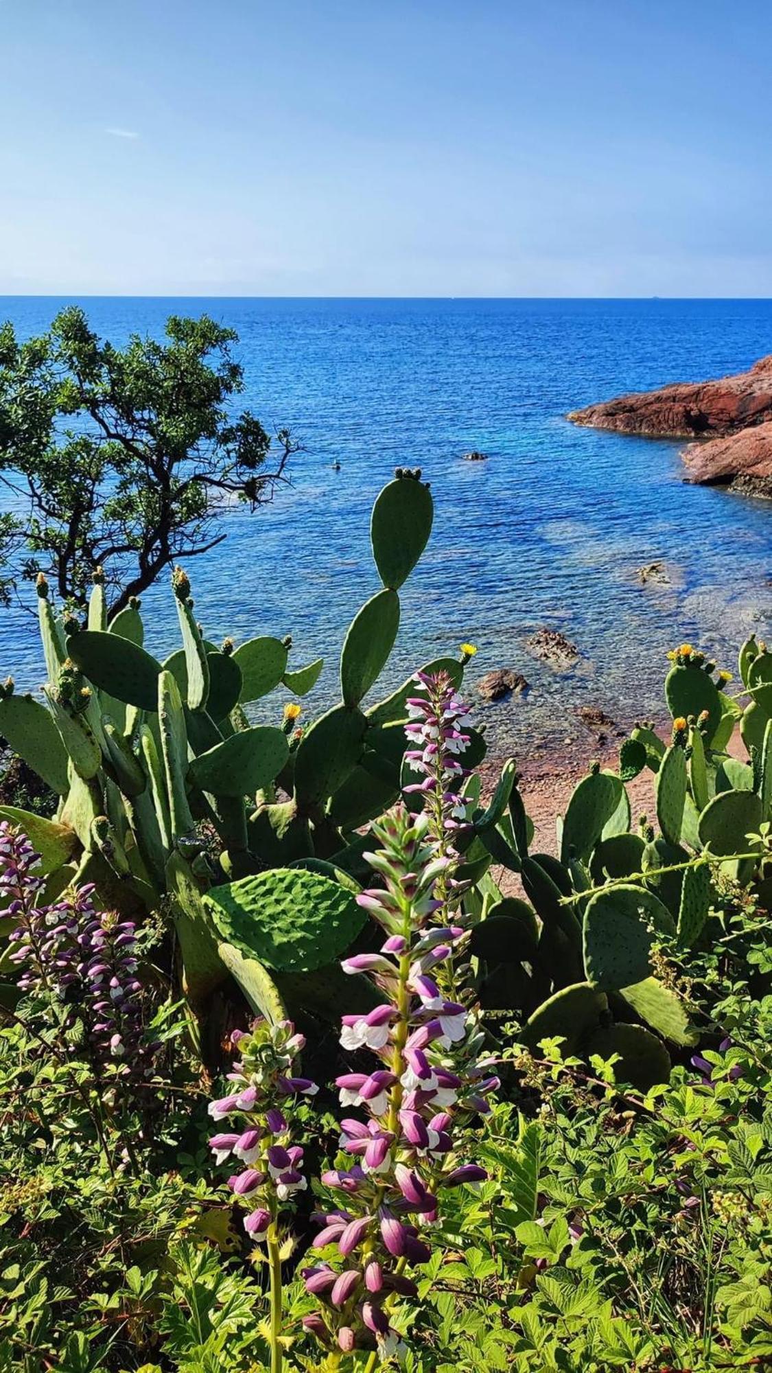 T2 En Rez De Jardin Privatif Cloture , Cap Esterel Pierre Et Vacances ,Piscine Chauffee Des Le 05 Avril Au 02 Novembre Saint-Raphael (Var) Exterior foto