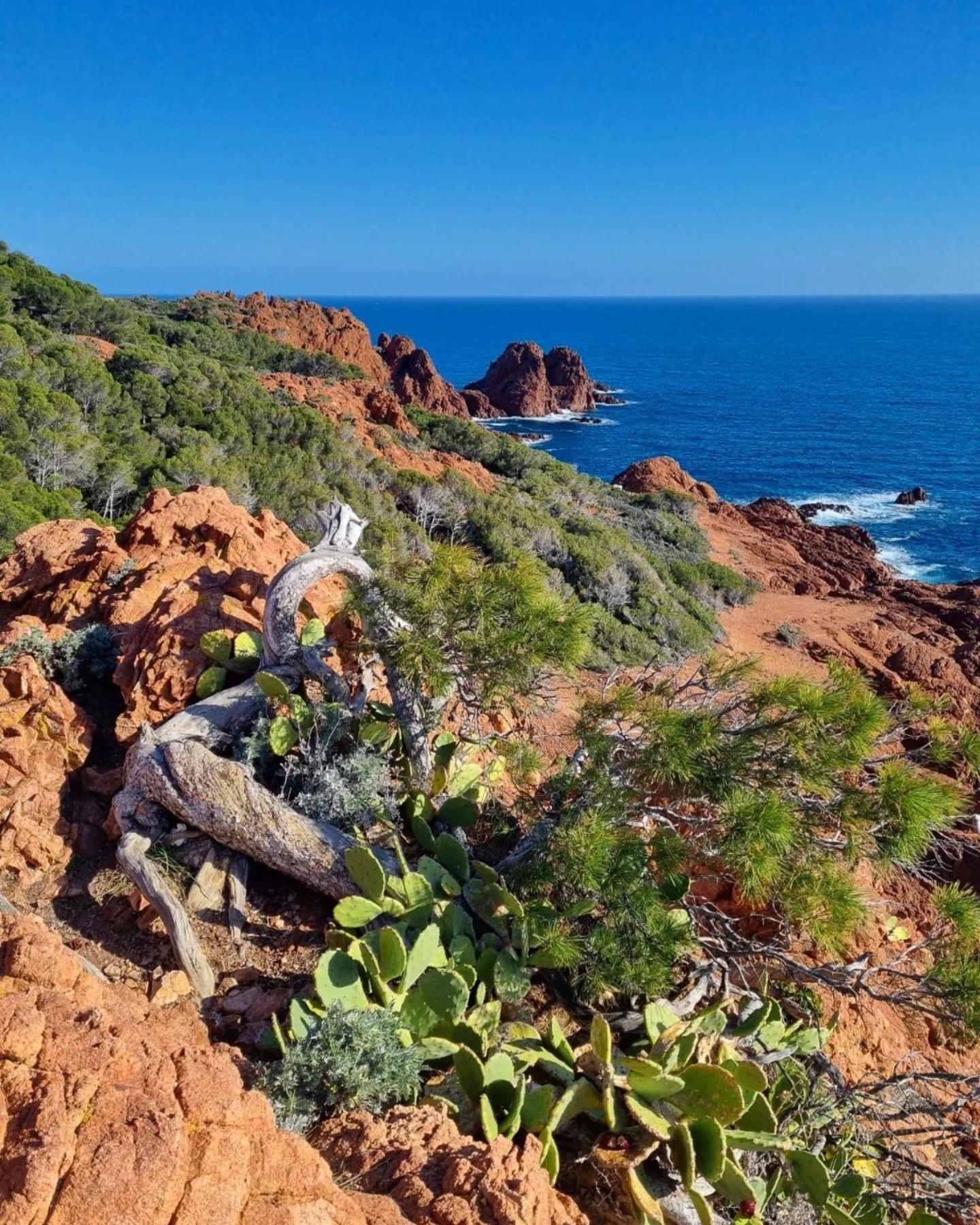 T2 En Rez De Jardin Privatif Cloture , Cap Esterel Pierre Et Vacances ,Piscine Chauffee Des Le 05 Avril Au 02 Novembre Saint-Raphael (Var) Exterior foto